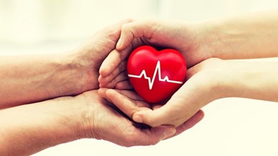 Record number of Australian lives saved