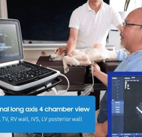 Samsung Ultrasound Systems with Remote Sonography: A Game-Changer for Veterinary Practices Samsung Ultrasound Systems with Remote Sonography: A Game-Changer for Veterinary Practices