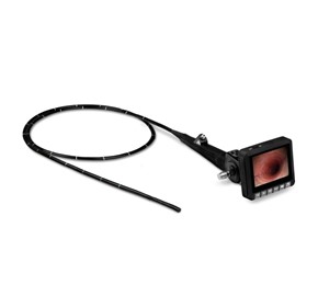 Handheld Veterinary Video Endoscope