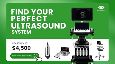 Top Veterinary Ultrasound Systems Compared: Affordable Handhelds to Premium Diagnostic Machines