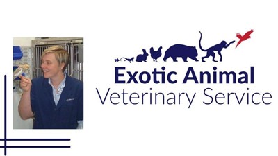 Radincon Featured Vet January 2025 – Jayne Weller