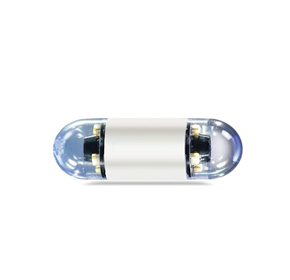 Capsule Endoscopes