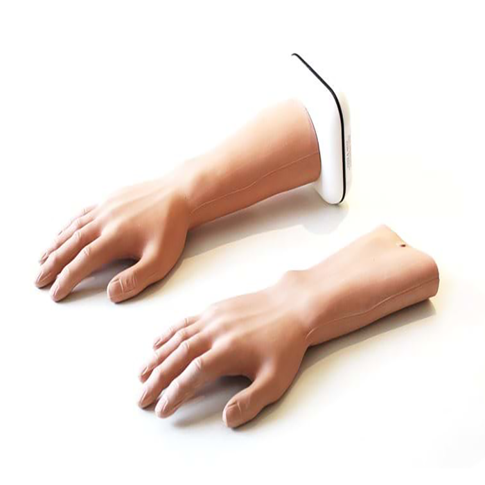 Medical Training Model